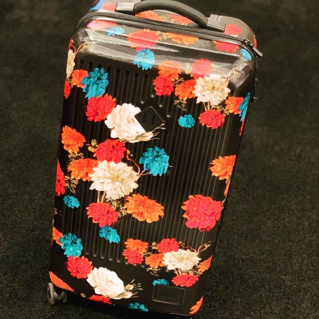 藤平尚真のインスタグラム：「#herschelsupply   移動用のキャリーケースです✈️ お気に入りは取手の文字と右下のロゴです✌🏻  皆さん是非使ってみて下さい✨  @herschelsupply #ハーシェル　 #herschelsupply」