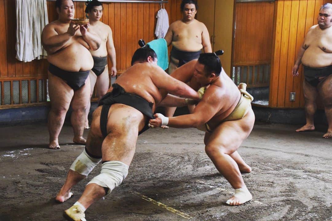 日本相撲協会さんのインスタグラム写真 - (日本相撲協会Instagram)「本日の高砂部屋朝稽古。 大関・朝乃山をはじめ、23名の力士が所属しています。 稽古動画はYouTubeチャンネルで近日公開予定です！ 是非お楽しみに！  @sumokyokai  #大相撲 #sumo #相撲 #力士 #お相撲さん #japanphoto #sumowrestlers #japanculture #高砂部屋 #朝乃山 #朝弁慶 #村田 #九月場所 #9月場所 #秋場所 #朝稽古 #稽古 #相撲部屋」9月7日 21時43分 - sumokyokai