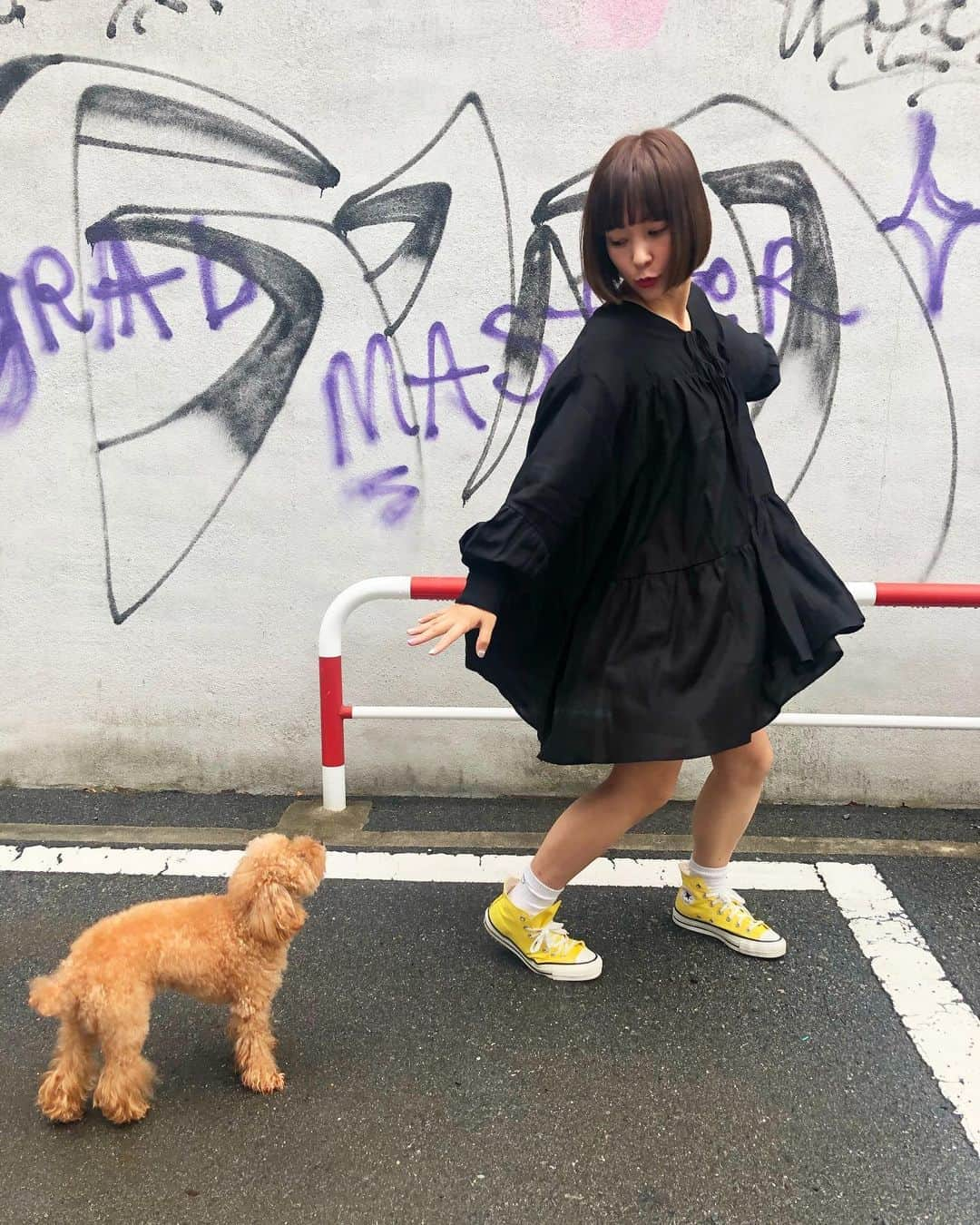 近藤夏子さんのインスタグラム写真 - (近藤夏子Instagram)「アンちゃま『え？何してんの？そのテンションついて行かれへんねんけど。』の巻 #アンちゃま #愛犬 #トイプードル」9月7日 21時44分 - kondonatsuko