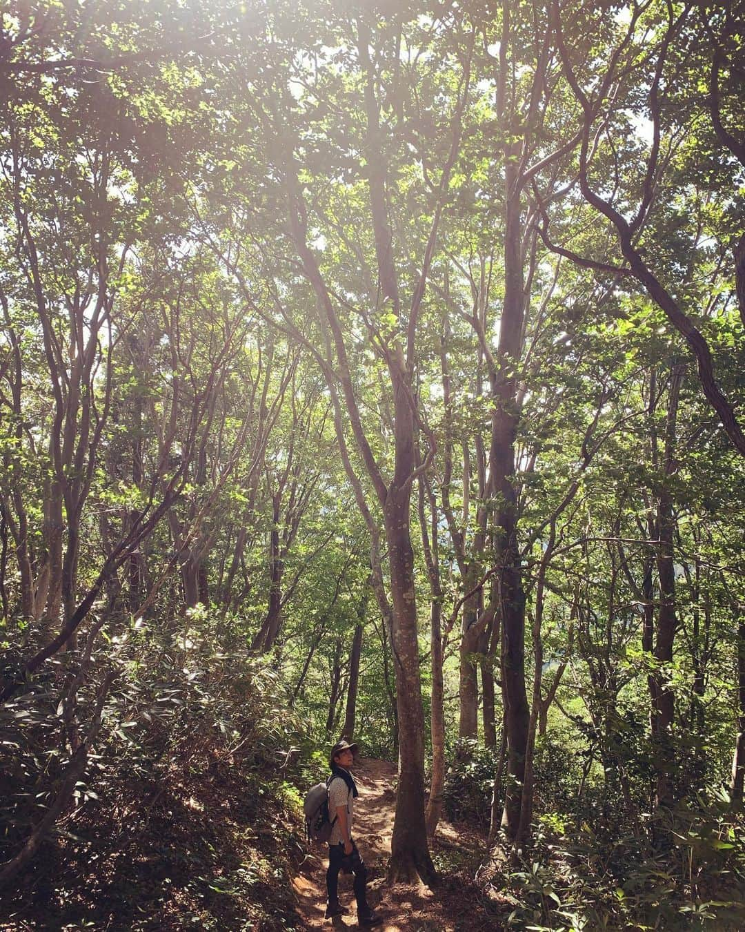 工藤淳之介さんのインスタグラム写真 - (工藤淳之介Instagram)「五頭山、続き。 カルテットでもお話しした通り、暑かったけど登山道は木陰も多いし、登るほど涼しくなりました。山の風、最高。 写真はスマホでどこを撮ってもキレイ。 それだけ自然に勝るものはないということでしょうか⛰☀️ 次は守門岳の予定😌  #新潟 #新潟放送 #3時のカルテット #登山 #山登り  #五頭山 #新潟百名山 #新潟のコメジルシ  #mountain  #mountains  #nature  #green   #bsn #アナウンサー #山男  #山男子 #山登り初心者  #工藤淳之介」9月7日 22時02分 - kudojun_nosuke_bsn