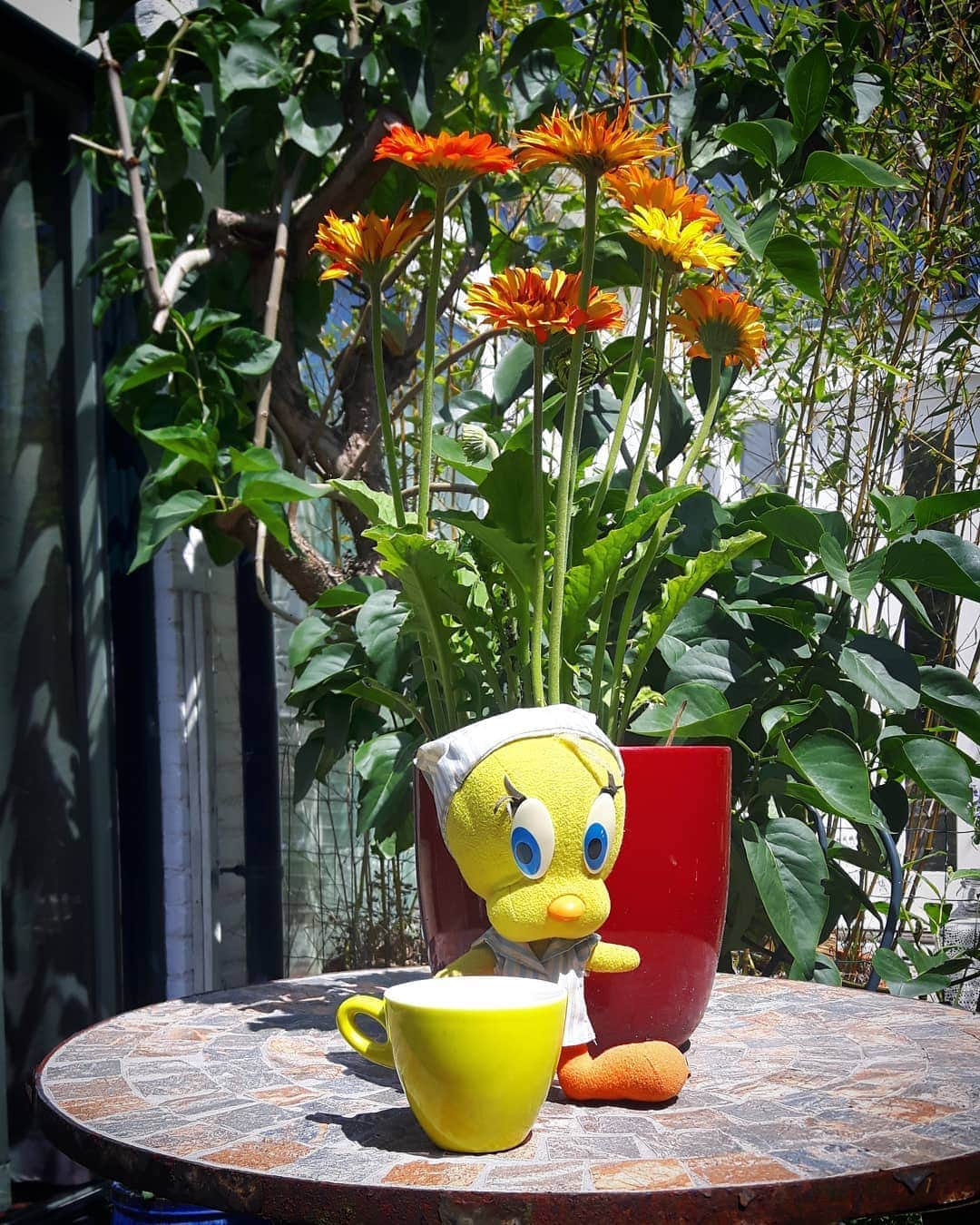 Little Yellow Birdさんのインスタグラム写真 - (Little Yellow BirdInstagram)「Ok monday, let's do this! Let us ease into this week with some sunshine and coffee. Lots of coffee!! #littleyellowbird #tweety #tweetykweelapis #adventures #yellow #bird #monday #mondayblues #mondayssuck #startoftheweek #sunshine #coffee #stuffedanimalsofinstagram #plushiesofinstagram」9月7日 22時03分 - tweetykweelapis
