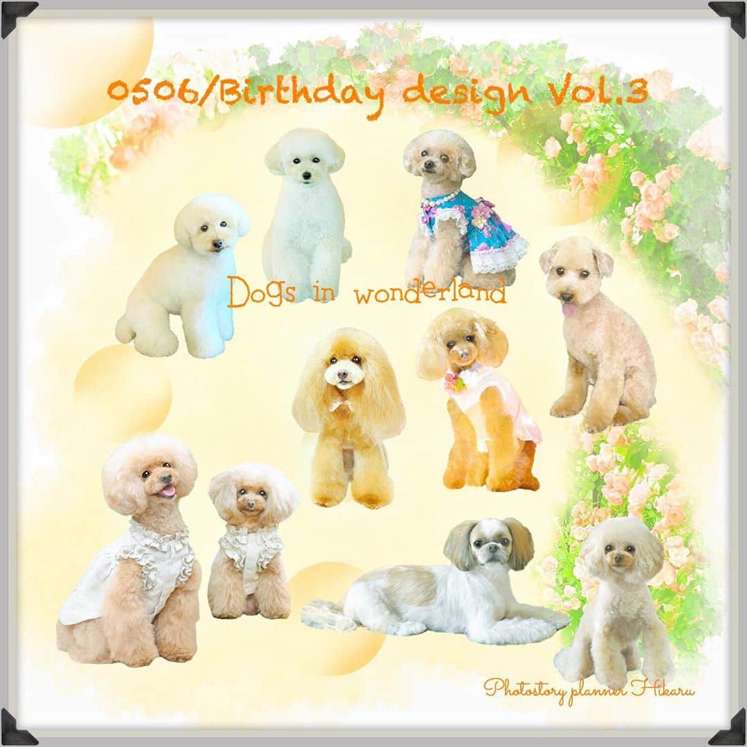 deco_moco_rinのインスタグラム：「* ❤︎♣︎♦︎♠︎ Dogs in wonderland 0506/Birthday design Vol.3 ❤︎♣︎♦︎♠︎ * まとめpic、お預かりしている0506月お誕生日の子はこちらで終わりです。 お写真まだの方、特に急いでませんのでお時間ある時によろしくお願いします🤲 * #2020bd_wonderland_hikaru」