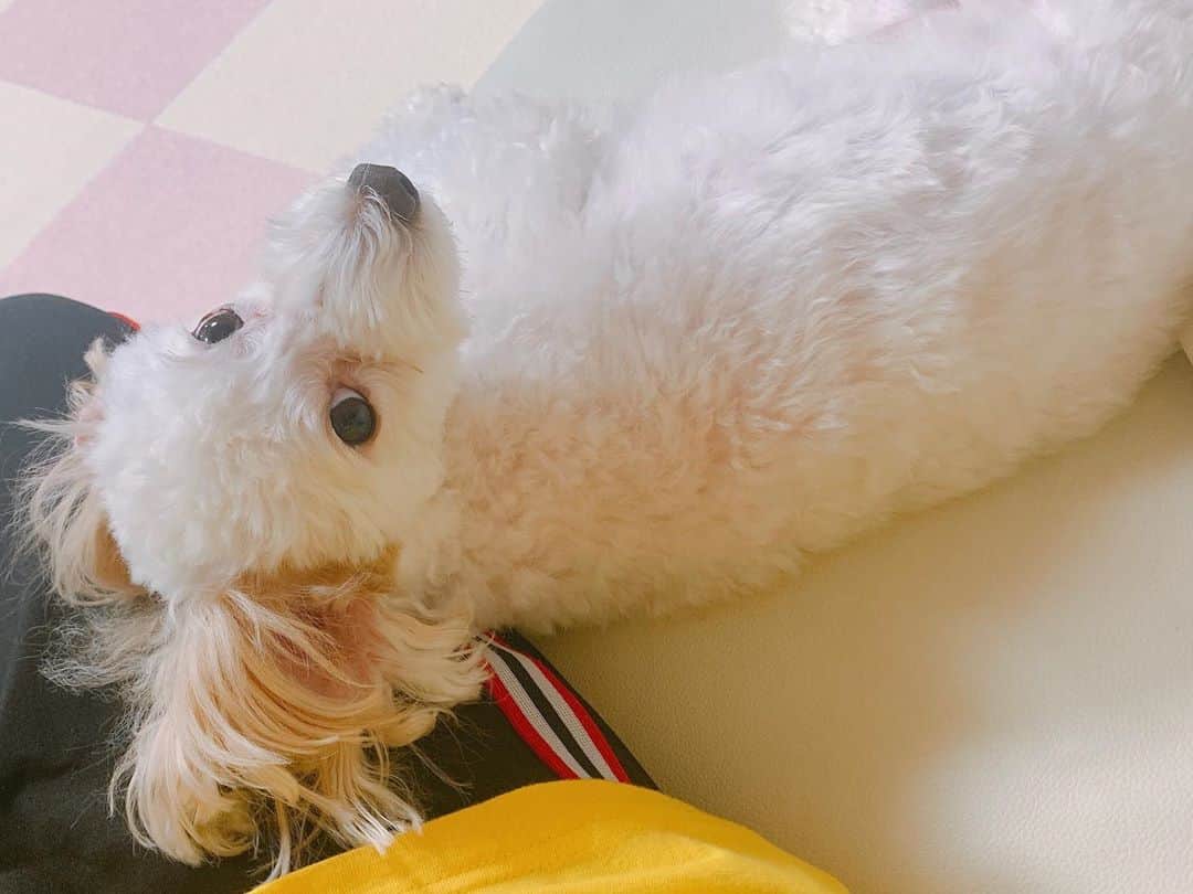 鈴木真梨耶のインスタグラム