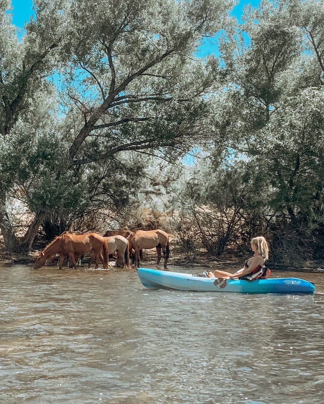 Kindly Myersのインスタグラム：「Yesterday i went kayaking for the first time. I got to see wild horses. That was amazing. I love horses. They were not scared of me and let me float right by them. Wow. Swipe to see more pix and videos.」