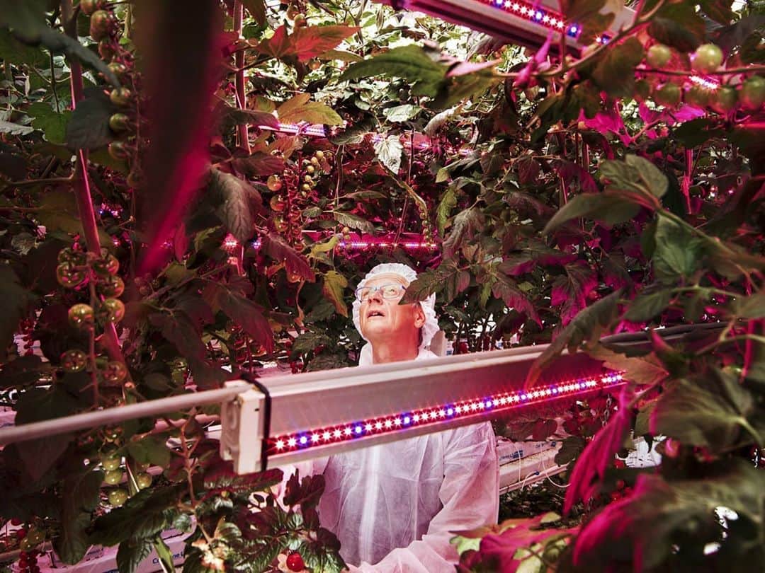 のインスタグラム：「Shortlist #LOBA #7 - Luca Locatelli (@lucalocatelliphoto)  In his long-term project "Future Studies", the Italian photographer deals with new ways for humanity to survive on planet Earth. He questions our desire for permanent economic growth and with his project sparks a debate about our relationship to nature and technology. Follow the link in our bio for more.  #LeicaCamera #Leica #🔴📷」