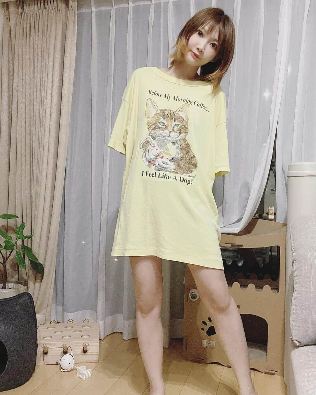 のインスタグラム：「この服好きなのだー #ねこ #ティーシャツ」