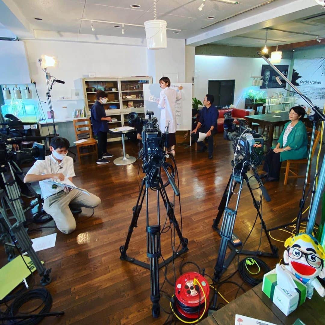 TOGGYのグルメインスタ