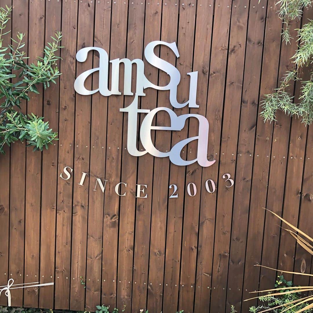 藤井日菜子のインスタグラム：「日本人好みのまろやかな優しい紅茶がいただける、美味しい紅茶専門店を教えてもらいました😊いろんな紅茶のフレーバーと水出し紅茶ポットを購入して、最近はお店に持っていって水分補給をしています😊 #アムシュティーハウス #アムシュティー   #美味しい紅茶#紅茶専門店」