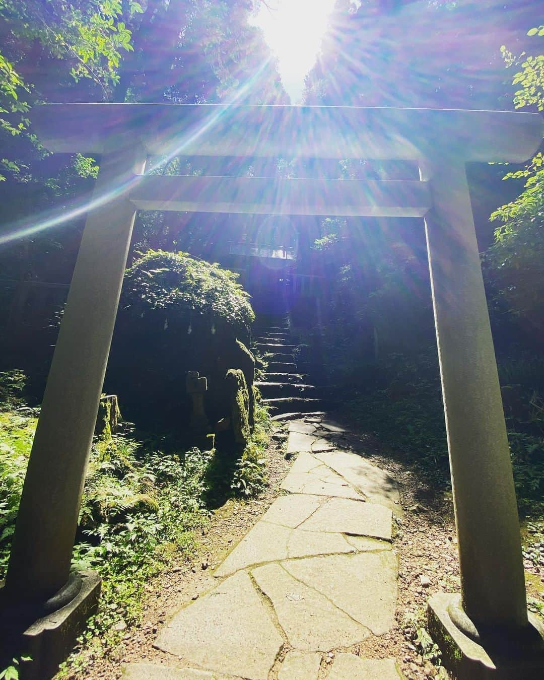 SHOCK EYEさんのインスタグラム写真 - (SHOCK EYEInstagram)「神仏の住う御岩山にひっそりと佇むお宮⛩ 賀毗禮（かびれ）神宮🙏✨ 誰一人いない鎮守の森の中、、本当に素晴らしい体験でした。 これ以外にも本当にパワーがビシビシ伝わる写真がいっぱい撮れたよ✨ #神社 #御岩神社 #御岩山 #茨城県 #賀毗禮神宮 #かびれ神宮 #shintoshrine #shrine #jinja」9月8日 11時04分 - shockeye_official