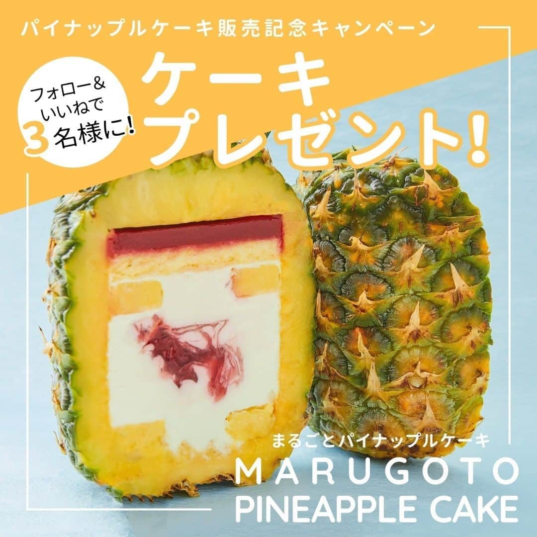 Cake.jpのインスタグラム