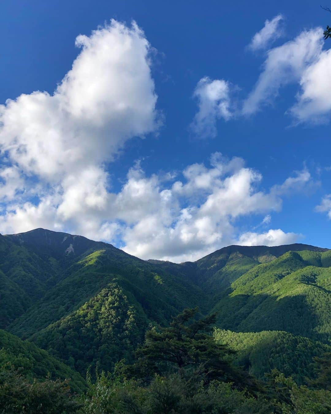 TANAKA ALICEさんのインスタグラム写真 - (TANAKA ALICEInstagram)「⛰☁️  9月だけど心はまだ夏。  #tb#lastyear」9月8日 11時18分 - tanakaalice