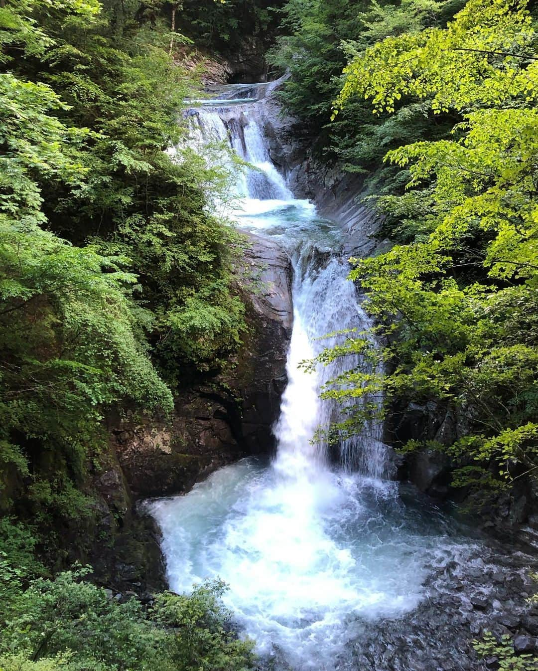 TANAKA ALICEさんのインスタグラム写真 - (TANAKA ALICEInstagram)「⛰☁️  9月だけど心はまだ夏。  #tb#lastyear」9月8日 11時18分 - tanakaalice