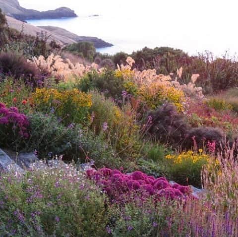 カレントエリオットのインスタグラム：「a wildflower kind of (long) weekend」
