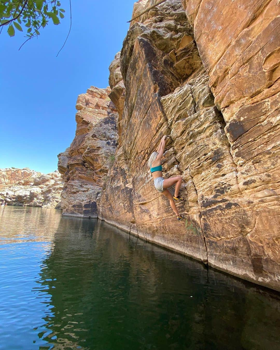 シエラ・ブレア・コイルさんのインスタグラム写真 - (シエラ・ブレア・コイルInstagram)「The best way to escape the heat for the weekend 😍 @mammut_swiss1862   #climbing_pictures_of_instagram #climbingpicturesofinstagram #psicobloc #mammut #bouldering #climbing #rockclimbing #training #kletter #klattern #klettering  #climbingismypassion #train #athlete #climbinggirls #climbing_lovers #indoorclimbing #escalade #trainingforclimbing #womenwhoclimb #instafitness #igfitness #sierrabc #sierrablaircoyle」9月8日 3時32分 - sierrablaircoyl