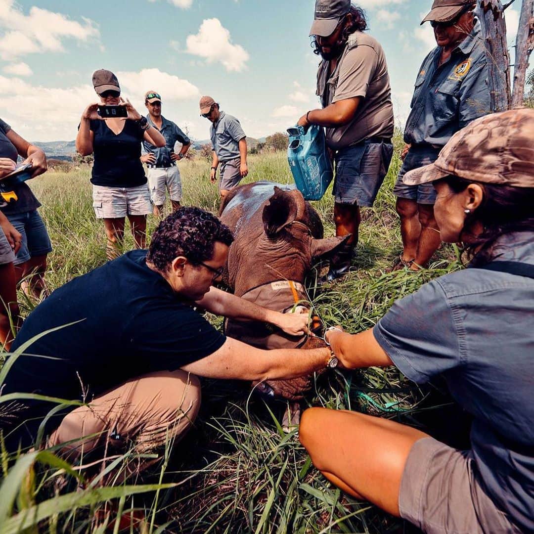 ティモシー・サイクスのインスタグラム：「Happy #laborday as today we celebrate all the workers who have contributed to the strength and prosperity of our country, but I want to take it a step further and thank all the amazing people and charities WORLDWIDE that I’ve been so fortunate enough to be able to work with the past few years. From building 70+ schools/libraries so far (our goal is to still to build 1,000+) with awesome charities like @balichildrensproject @savethechildren @pencilsofpromise @cambodianvillagefund and helping animals in need with @boochaces @vetpaw @cocosanimalwelfare to protecting our environment with @wildhawaii @sustainablecoastlineshawaii @coralgardeners and everyone on the @stockstotrade team, the @karmagawa and @savethereef communities, my own employees & my now thousands of my students in 145 countries around the world, we’re ALL working hard and the key to our inevitable success is TEAMWORK! While 2020 has been a HUGELY challenging year, we must learn from it all and adapt to ensure an even better future FOR EVERYONE, not just in terms of greater wealth & freedom, but a future filled with greater knowledge, understanding, love and respect for ALL living things, humans and animals alike because we’re all in this together and there is no planet B so we really must prioritize helping each other MUCH MORE! #teamwork #ilovemyjob #givingback #jewcrew」