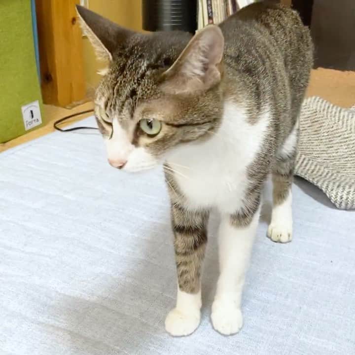 MAKO0MAKO0のインスタグラム
