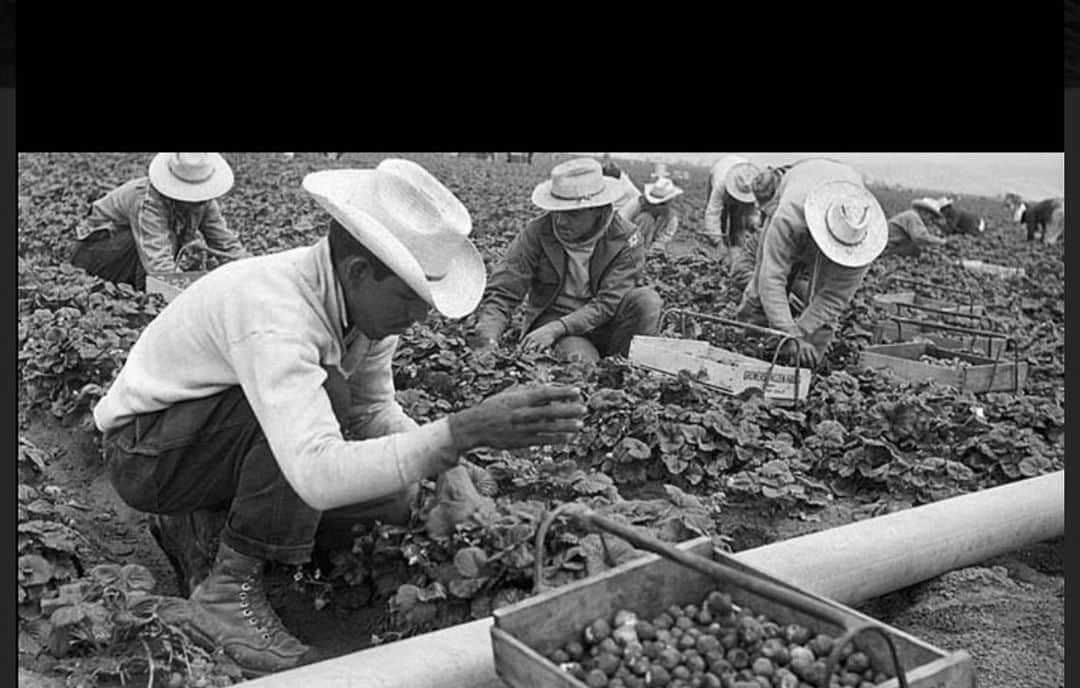 トームさんのインスタグラム写真 - (トームInstagram)「These intimate photos chronicle the Mexican worker program that helped ‘feed and build America’ Then these ‘braceros’ were just expected to return to their country By Brendan Seibel Sep 7, 2017 · @medium  .  When American men were heading overseas to fight Nazis and the Japanese, they left behind their homes and loved ones. But they also left behind the fields, leaving agricultural producers wondering who was going to harvest the crops. Meanwhile, the Mexican economy was devastated by revolution and depression, and the country was filled with poor men and few prospects. On August 4th, 1942, the United States and Mexico initiated what’s known as the Bracero Program which spanned two decades and was the largest guest worker program in U.S. history. The concept was simple. Vetted braceros (Mexican slang for field hand) legally worked American farms for a season. It was intended to be only a wartime labor scheme, but between 1942 and 1964, an estimated two million workers fulfilled 4.6 million contracts—influencing immigration and labor rights in the process. .  Their legacy still resonates today. “Through the H2-A visa program Mexican immigrants continue to provide essential labor,” says Mireya Loza, Curator in the Division of Work and Industry at the National Museum of American History and award-winning author of Defiant Braceros: How Migrant Workers Fought for Racial, Sexual, and Political Freedom. “They still pick the produce that makes its way onto our tables and in many ways like the braceros that came before them, they feed America. Our lives are intimately tied to their labor.” Mexican laborers applied at government processing centers. Those who passed competency and health exams traveled to the border where American agents conducted secondary screenings, DDT fumigation, and invasive medical checks. Testimonials compiled by the Bracero History Archive speak of being picked out of line-ups, packed into trucks and freight trains, and shipped off to the fields. Farm work is universally hard but living conditions were defined by individual growers. The Mexican government insisted on basic worker protections because of past abuses. #laborday」9月8日 6時33分 - tomenyc