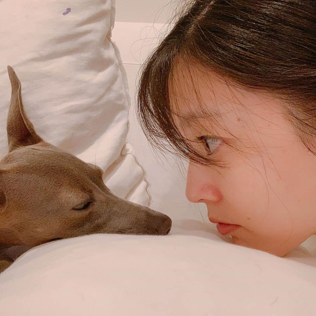 森貴美子さんのインスタグラム写真 - (森貴美子Instagram)「👀🐶ナナと私。 ・ #1歳 #犬 #わんこ #ペット #イタリアングレーハウンド  #イタグレ #女の子 #itariangreyhound  #강아지 #이탈리안그레이하운드  #멍멍이  #댕댕이」9月8日 6時36分 - morikimi_morikimi