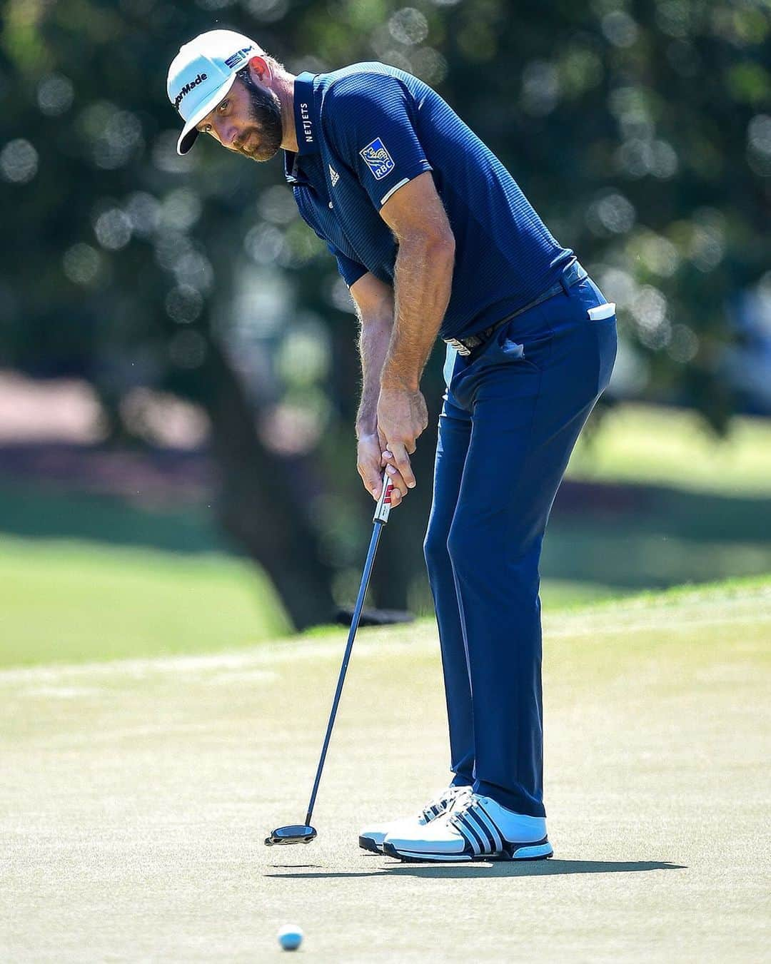 テーラーメイド ゴルフさんのインスタグラム写真 - (テーラーメイド ゴルフInstagram)「The purest roll of the playoffs. @djohnsonpga was lights out on the greens with his trusty #SpiderTour down the stretch, never finishing outside the top-12 in Strokes Gained: Putting in three straight postseason tournaments. #PureRoll」9月8日 7時55分 - taylormadegolf