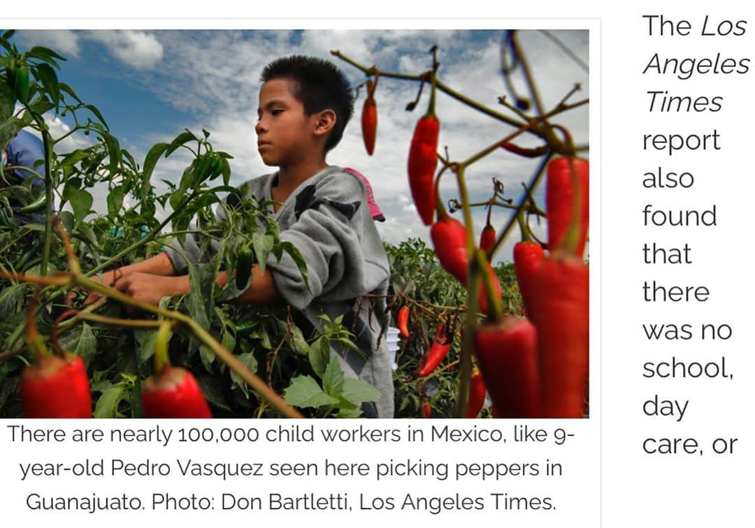 トームさんのインスタグラム写真 - (トームInstagram)「Report reveals human rights violations, modern-day slavery conditions for agricultural workers in Mexico .  01/02/15 (written by otawka) — The Los Angeles Times recently released an extensive report revealing the poor conditions for thousands of agricultural workers in Mexico, addressing widespread issues of modern day slavery and child labor law violations. The four-part article by Richard Marosi began after several workers escaped from a Bioparques del Occidentefarm back in June 2013, alerting authorities to the harsh living conditions, and in some cases instances of enslavement or forced labor experienced by the workers. The report details findings based on an 18-month investigation of such mega-farms throughout nine Mexican states—farms that are the cornerstone of Mexico’s growing agribusiness whose exports to the United States reached $7.6 billion in the last decade. Corporations like Bioparques and Rene Produce are among those investigated, and also those that sell to the popular U.S. retailers like Walmart, Target, Whole Foods, Albertsons, and Safeway.  Many of the workers that work on these mega-farms are temporary, migrant workers, and mostly come from rural and indigenous communities, often recruited in their hometowns by contractors that work for the companies. The mega-farms, continues the report, tend to be set up similar to work camps with guards and barbwire fencing around the perimeters. Workers earn on average $8 to $12 a day and, although illegal, many camps withhold wages to prevent workers from leaving during the peak of the season when they need workers most. Because of inflated prices at company stores, workers then go into debt purchasing basic goods and food. The workers are often malnourished, with limited to no access to healthcare and live in structures that resemble slave quarters: concrete buildings infested with bed bugs, rodents, or scorpions, and beds made of cardboard or plastic crates. .  In the more extreme cases, workers are prohibited from leaving the camps, and face beatings and death threats if they attempt.  . #LaborDay」9月8日 8時44分 - tomenyc