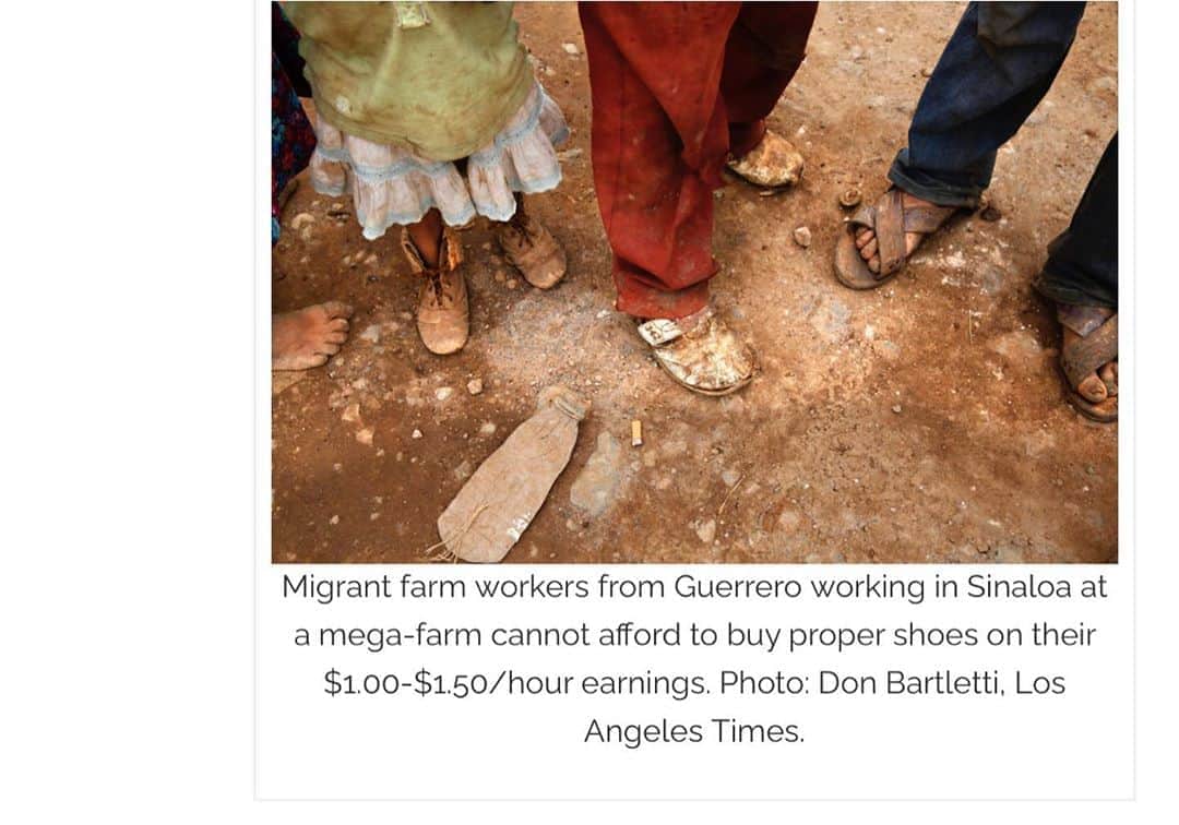 トームさんのインスタグラム写真 - (トームInstagram)「Report reveals human rights violations, modern-day slavery conditions for agricultural workers in Mexico .  01/02/15 (written by otawka) — The Los Angeles Times recently released an extensive report revealing the poor conditions for thousands of agricultural workers in Mexico, addressing widespread issues of modern day slavery and child labor law violations. The four-part article by Richard Marosi began after several workers escaped from a Bioparques del Occidentefarm back in June 2013, alerting authorities to the harsh living conditions, and in some cases instances of enslavement or forced labor experienced by the workers. The report details findings based on an 18-month investigation of such mega-farms throughout nine Mexican states—farms that are the cornerstone of Mexico’s growing agribusiness whose exports to the United States reached $7.6 billion in the last decade. Corporations like Bioparques and Rene Produce are among those investigated, and also those that sell to the popular U.S. retailers like Walmart, Target, Whole Foods, Albertsons, and Safeway.  Many of the workers that work on these mega-farms are temporary, migrant workers, and mostly come from rural and indigenous communities, often recruited in their hometowns by contractors that work for the companies. The mega-farms, continues the report, tend to be set up similar to work camps with guards and barbwire fencing around the perimeters. Workers earn on average $8 to $12 a day and, although illegal, many camps withhold wages to prevent workers from leaving during the peak of the season when they need workers most. Because of inflated prices at company stores, workers then go into debt purchasing basic goods and food. The workers are often malnourished, with limited to no access to healthcare and live in structures that resemble slave quarters: concrete buildings infested with bed bugs, rodents, or scorpions, and beds made of cardboard or plastic crates. .  In the more extreme cases, workers are prohibited from leaving the camps, and face beatings and death threats if they attempt.  . #LaborDay」9月8日 8時44分 - tomenyc
