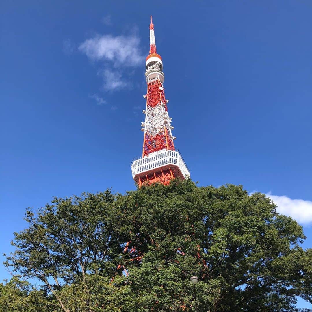 川坂勇太さんのインスタグラム写真 - (川坂勇太Instagram)「ラジオ日本に向かう途中の東京タワー #いまそら  #東京タワー」9月8日 9時12分 - yutakawasaka