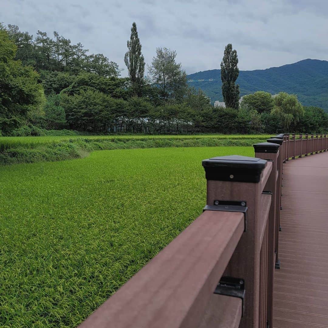イェジ のインスタグラム：「#백운호수」