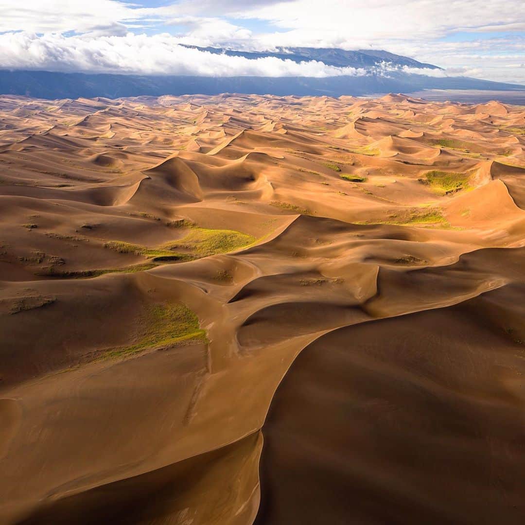 クリス・バーカードのインスタグラム：「My passion for the Southwest runs deep, as these were the far reaches of my world as a kid. The most distant places I traveled growing up were Utah, Colorado & Wyoming. They felt completely foreign from the beaches of California where i grew up. Great San Dunes National Park always felt like another planet to me. Traveling here as an adult is still one of my favorite experiences of 2020.  I spent a week traveling in an @outdoorsy sprinter rental van fully sufficient with two friends working on an assignment documenting @shotsfromabove for a new project. Excited to share soon.  PS - slide two is my favorite ! Bison moving through the morning light  @brannelson @evanruderman @dbob」