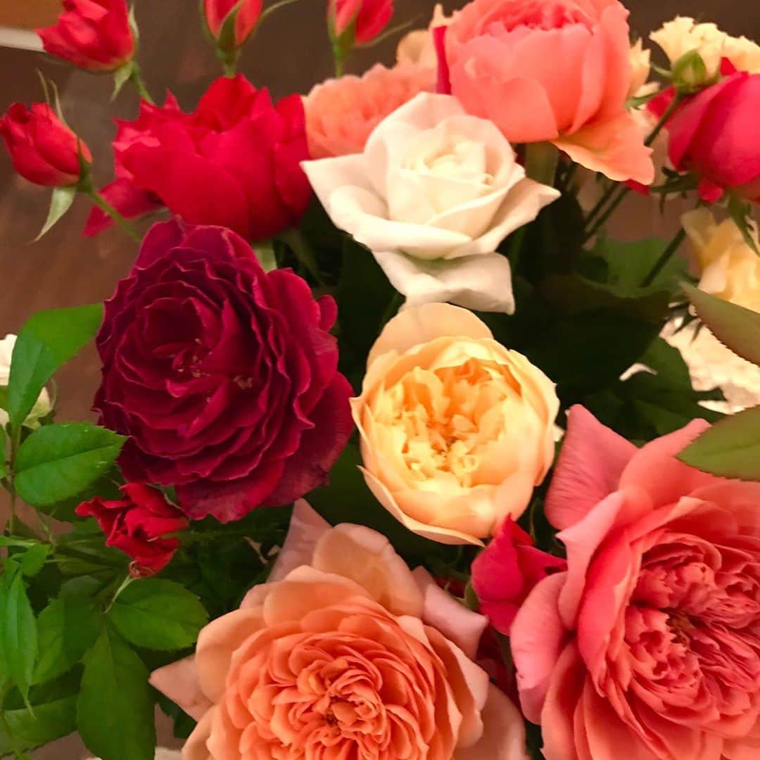光野桃のインスタグラム：「疲れきった晩夏の心と体を癒してくれる赤の和薔薇。 慈しみの心と生命エネルギーを感じます。 ありがとう。  #和薔薇 #濃い赤の美しさ」