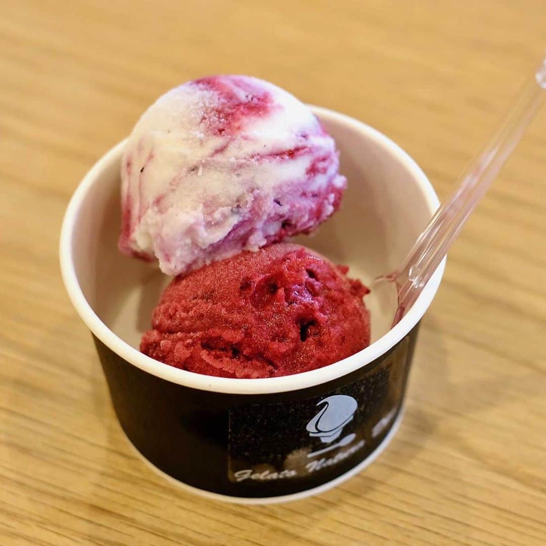 The Japan Timesさんのインスタグラム写真 - (The Japan TimesInstagram)「Known in Japan as kashisu — derived from the French word “cassis” — Ribes nigrum is as juicy as a blueberry, but far more complex, sour and assertive. Japan isn’t famous for blackcurrants, much less Aomori Prefecture, which is better known for its apples. Yet the city of Aomori produces around 10 to 12 tons of the fruit annually, accounting for around 90 percent of domestic production. Click on the link in our bio to see what it takes to harvest blackcurrants. 📸 Kenji Hayashi, Florentyna Leow . . . . . . #Japan #Aomori #cassis #blackcurrant #fruit #farm #harvest #nature #日本 #青森 #カシス #果物 #農場 #自然 #🍇」9月8日 19時28分 - thejapantimes