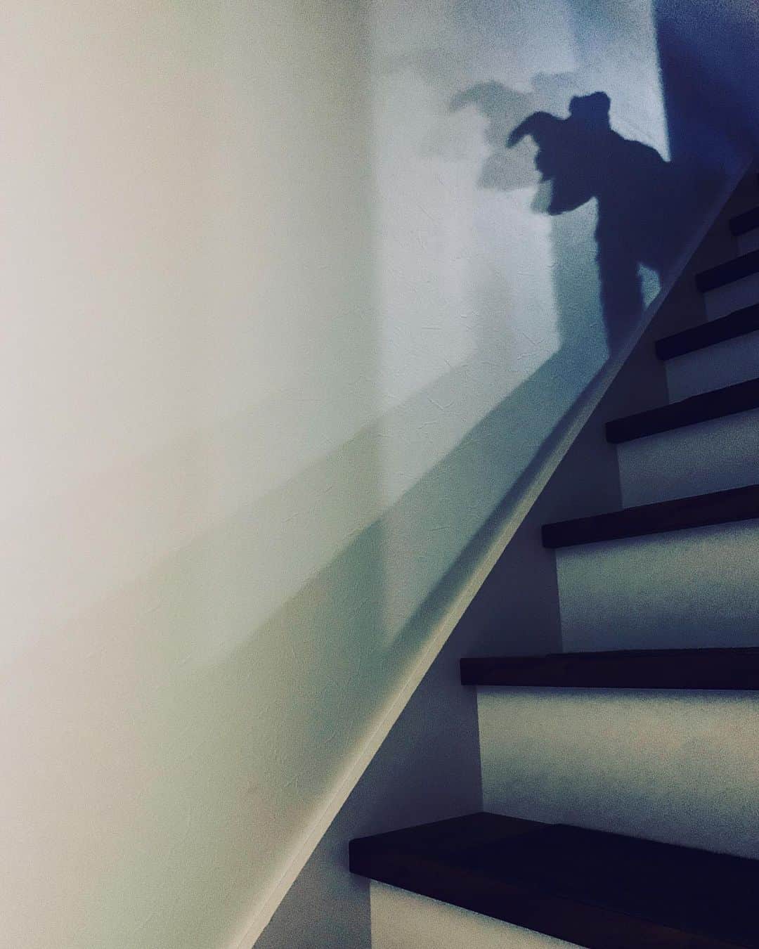 竹渕慶さんのインスタグラム写真 - (竹渕慶Instagram)「🐶ぶぅの影が好き I love his shadows.」9月8日 19時41分 - keibamboo