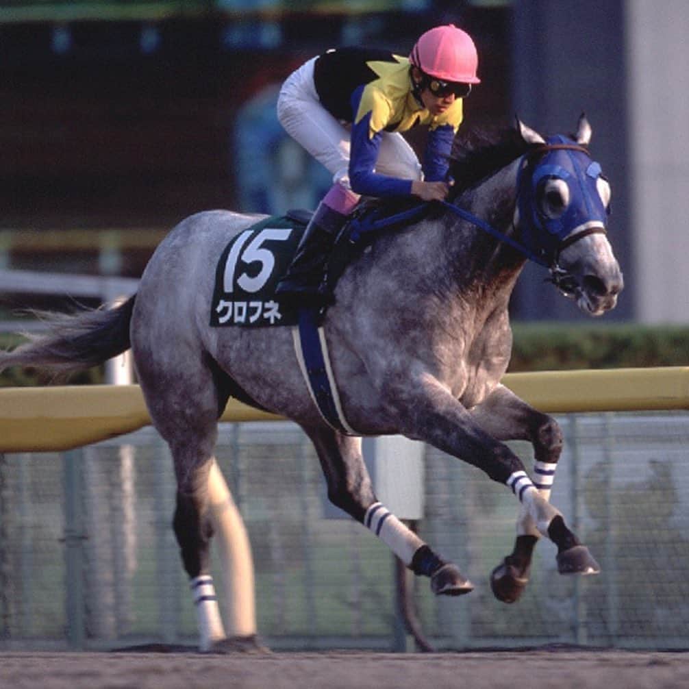 netkeibaさんのインスタグラム写真 - (netkeibaInstagram)「ㅤㅤㅤㅤㅤㅤㅤㅤㅤㅤㅤㅤㅤ ㅤㅤㅤㅤㅤㅤㅤㅤㅤㅤㅤㅤㅤㅤ netkeiba 芦毛祭 🍧 ㅤㅤㅤㅤㅤㅤㅤㅤㅤㅤㅤㅤㅤ 本日はクロフネさんです🤍 ㅤㅤㅤㅤㅤㅤㅤㅤㅤㅤㅤㅤㅤ 芝ダート両GIを制し、種牡馬としても大活躍 ダートは2戦しか走っていませんが、 9馬身、7馬身差の圧勝劇は衝撃でした 。。 ㅤㅤㅤㅤㅤㅤㅤㅤㅤㅤㅤㅤㅤ ～重賞勝ち鞍～ 2001年：ジャパンカップダート(GI) 、NHKマイルC(GI)、武蔵野S(GIII)、毎日杯(GIII) ㅤㅤㅤㅤㅤㅤㅤㅤㅤㅤㅤㅤㅤ #クロフネ ㅤㅤㅤㅤㅤㅤㅤㅤㅤㅤㅤㅤㅤ #instahorse #horsetagram #thoroughbred #芦毛 #馬 ㅤㅤㅤㅤㅤㅤㅤㅤㅤㅤㅤㅤㅤ (撮影：下野雄規)」9月8日 19時44分 - netkeiba