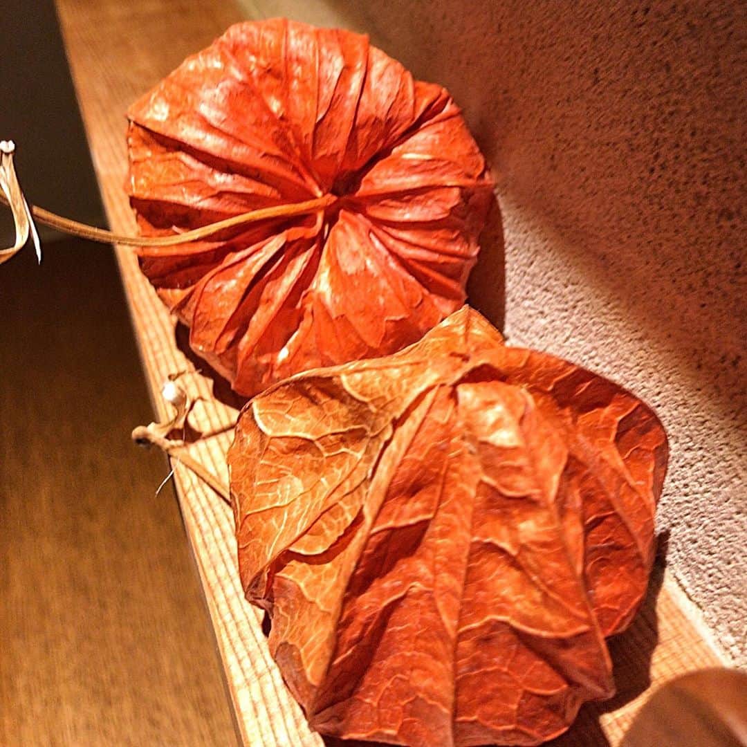 小川知子さんのインスタグラム写真 - (小川知子Instagram)「#寿司🍣 #いい風 #こむらがえり  #小川知子  朝からこむら返り。 痛い‼️痛い‼️  運動も断念。  たまにあるんですよね〜。  マネージャーと好物のお寿司🍣を食べて気分が良くなった😊」9月8日 20時25分 - tomoko_ogawa_