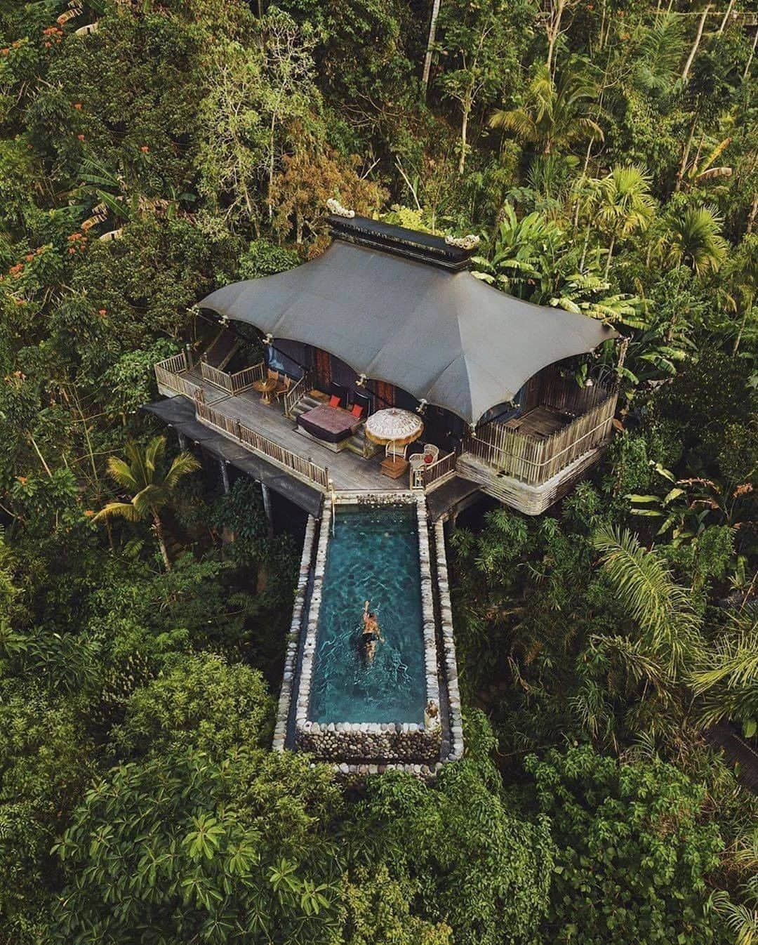 Discover Earthさんのインスタグラム写真 - (Discover EarthInstagram)「Probably one of the coolest jungle villas I have ever seen 🏊🏼‍♂️🍃🌴 @capellaubud @capellahotels  🇮🇩 #discoverindonesia with @alexpreview  #jungle #villa #indonesia」9月8日 20時30分 - discoverearth