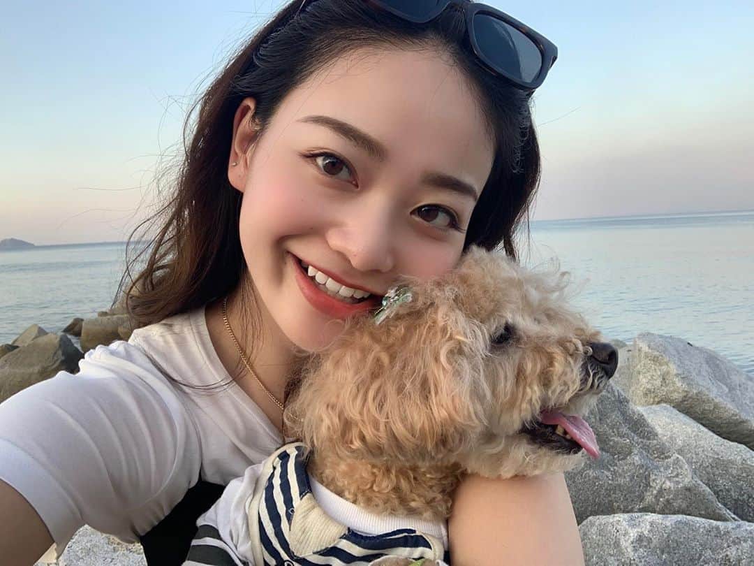 のインスタグラム：「初！紹介します！！🧡🧡 我が家のアイドルびいたろうくん🐶 約8年前、前谷家にやってきました〜✨　 早く会いたいなぁ〜 ． #ミスキャンパス関西学院大学2020 #ミスキャンパス関西学院大学 #エナジー溢れるお姉さん #mckg2020_no1  #トイプードル #愛犬」