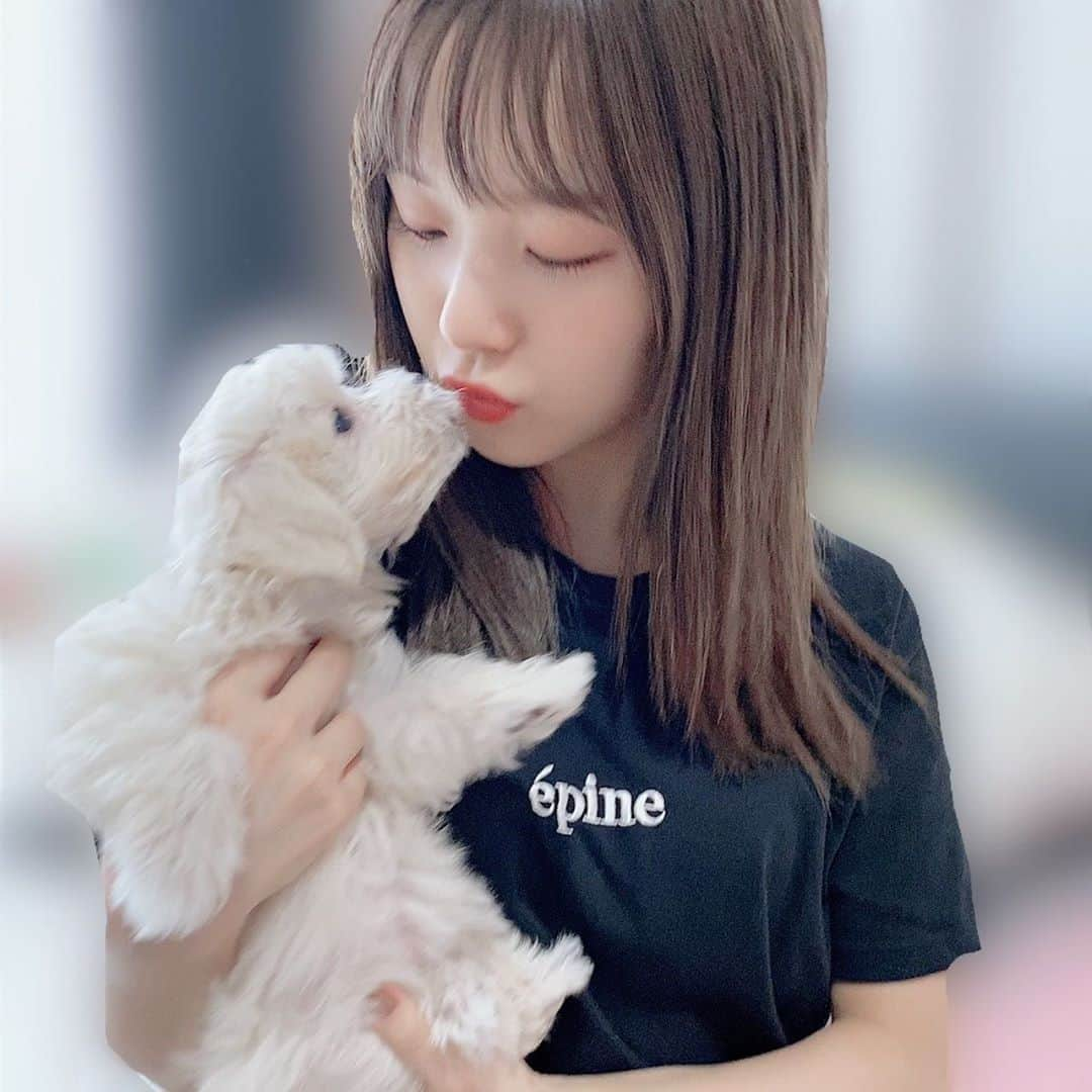 稲場愛香さんのインスタグラム写真 - (稲場愛香Instagram)「🐩﻿ ﻿ ﻿ 野中とうふちゃん♡﻿  @miki_nonaka.official ﻿ ﻿ ﻿ かわいすぎて…終始デレデレでした…🥺﻿ ﻿ ﻿ ﻿ 人懐っこくてアイドル力すごすぎた🥰👏🏻﻿ ﻿ ﻿ ﻿ #juicejuice #稲場愛香 #まなかん #アイドル #idol ﻿ #野中美希 ちゃん #愛犬 #とうふちゃん #可愛い ﻿ #ペット #わんちゃん #おうちにいたら #幸せだなぁ」9月8日 20時38分 - manaka_inaba.official