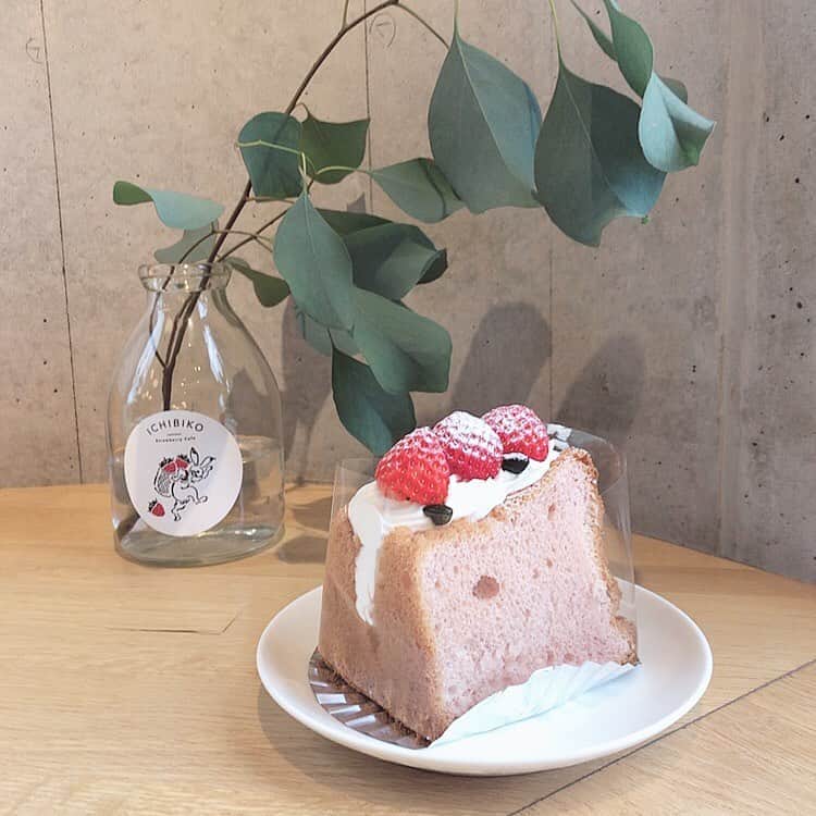 夏井さらのグルメインスタ