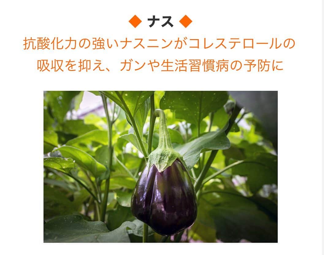 麻生れいみのインスタグラム：「【最強くすり野菜】 🍆ナスの紫色はナスニンと呼ばれるポリフェノールの一種🍆 強い抗酸化力があり、ガンや生活習慣病の一因となる活性酸素を抑えたり、コレステロールの吸収を抑える作用があります。皮にその栄養素を多く含むのでむかずに丸ごととりたいですね。  ナスニンの吸収率を上げるには、油と一緒に摂取するのがポイント。また、カリウムの含有量も多く、体の水分排出を促すことから、むくみ予防や改善に役立ちます。ただ、水分と一緒に熱も体外へ出てしまうので、体を冷やすことにも。ほてりの改善には役立ちますが、冷え性の方は体を温めるショウガやニンニク、白ねぎと一緒に食べてくださいね🍆  詳しくは↓ リスミカ　麻生れいみで検索！  ❤️ロカボ、ケトジェニックダイエットは400g以上(1日食物繊維20g以上)を目指します。  #アスリート栄養　#スポーツ栄養 #アスリートご飯  #ボディメイク #ボディメイクレシピ  #ロカボダイエット  #管理栄養士  #麻生れいみ式ロカボダイエット  #lowcarbdiet  #lowcarb  #麻生式ダイエット #dietitian  #dietitians  #糖質制限  #ダイエット  #ケトン体 #ケトジェニック #ketodiet #ケトンアダプト #ketoaptation  #ketoadapted #麻生れいみ　 #コロナ太り  #コロナ太りが止まらない  #コロナ太り解消  #最強くすり野菜 #野菜の日」