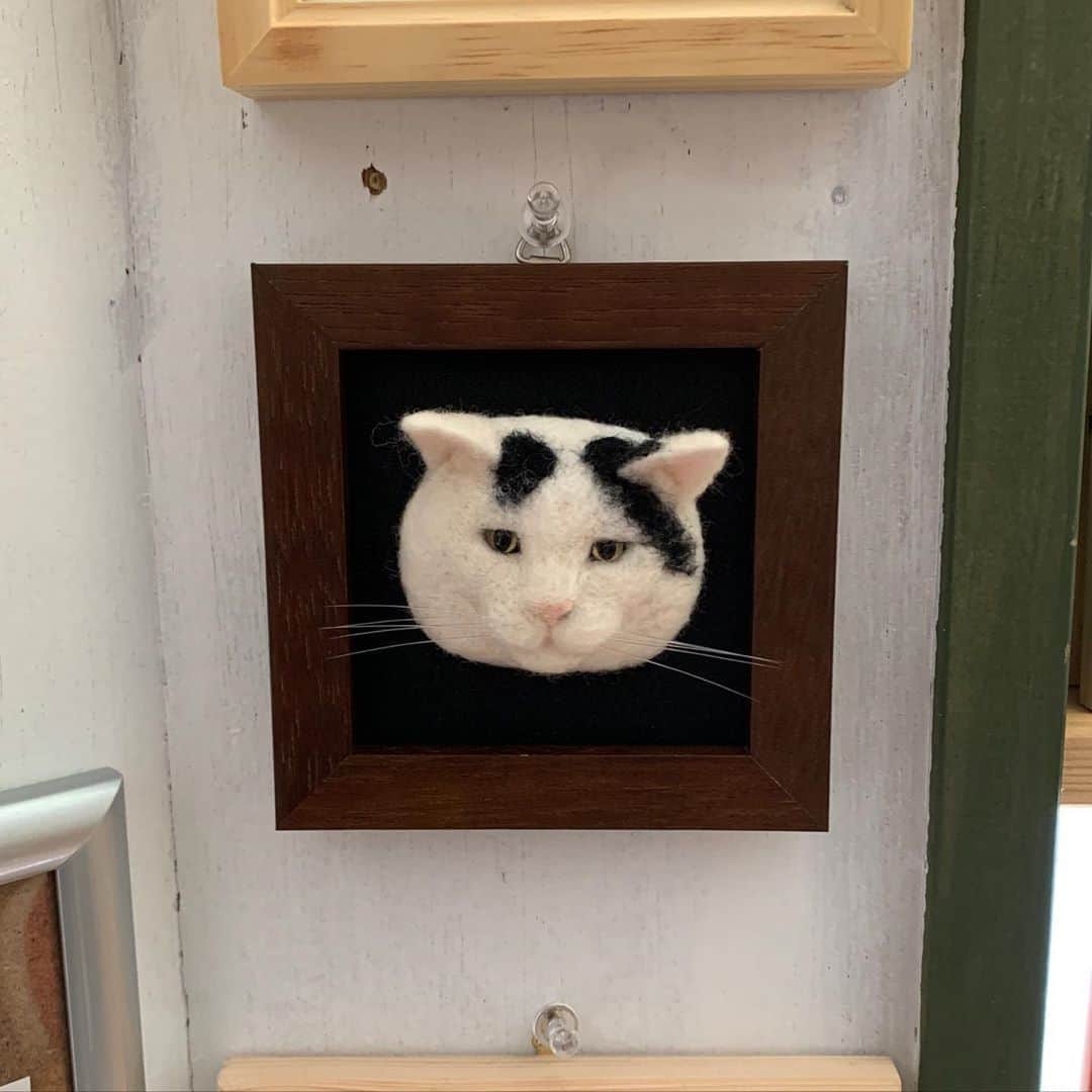 Kachimo Yoshimatsuさんのインスタグラム写真 - (Kachimo YoshimatsuInstagram)「@nekosukihentai さんが作ってくれたナナクロ。どこから見ても目があいます。確かめに来て下さい。 みんなのナナクロ展、今日は13:30〜16:00まで店内では、ココシバ近辺に住むクルドのお母さんたちによるクルドオヤ教室をやってますが、展示は見ることがで来ます。  #うちの猫ら #nanakuro #みんなのナナクロ展 #ナナクロ #ナナクロ大好き #ナナクロの絵 #オヤ教室 #猫 #ねこ #cat #ネコ #catstagram #ネコ部 http://kachimo.exblog.jp #ココシバ #川口市 #蕨駅 #トランスビュー #本屋 #ブックカフェ #bookcafe #書店 #ココシバ開店2周年 #芝銀座 http://cocoshiba.com」9月8日 12時58分 - kachimo