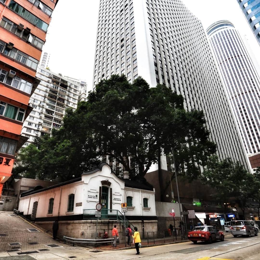 Discover Hong Kongさんのインスタグラム写真 - (Discover Hong KongInstagram)「There is a small, house-like building on Queen's Road East in Wan Chai. Erected a century ago, it used to be a post office and witnessed the development of its surrounding high-rises. 你知道嗎﹖舊灣仔郵政局係香港現存最古老嘅郵政建築，而家經已改建為環境保護署嘅環境資源中心，又名「環保軒」！ #DiscoverHongKong」9月8日 13時00分 - discoverhongkong