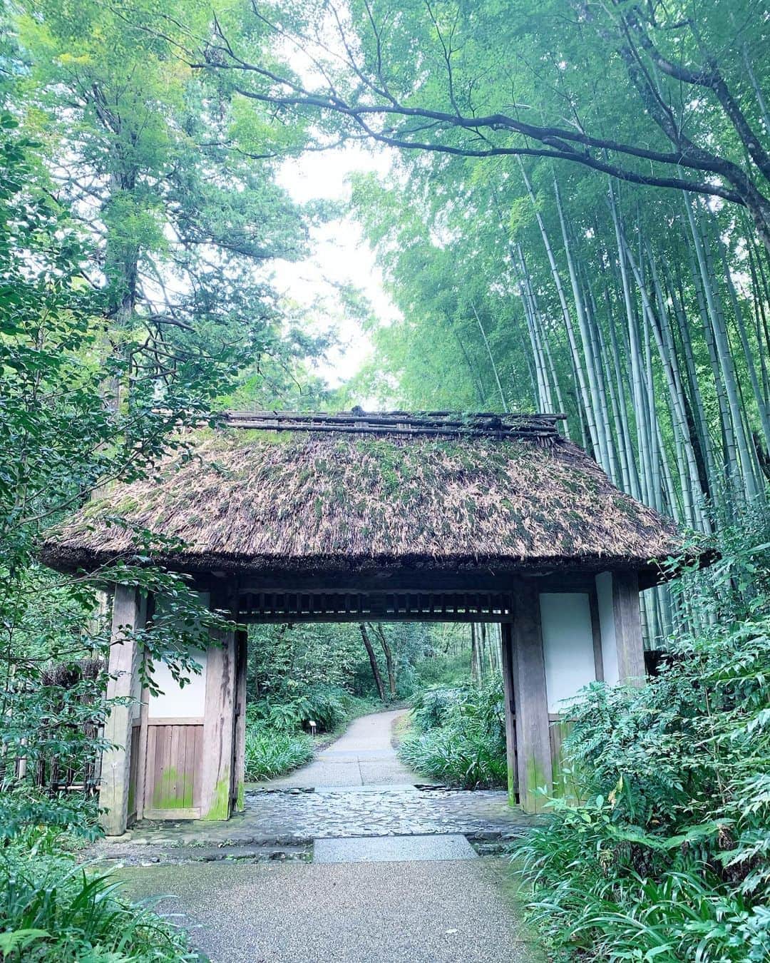 星読みプリンセス・エリ様さんのインスタグラム写真 - (星読みプリンセス・エリ様Instagram)「森林浴🌲🌲﻿ 昨日は旦那さんとデート♡﻿ ﻿ 車で移動中は大雨だったけど、﻿ 外にいる間は雨降らなくて濡れる事なく、そのおかげでお店に傘忘れてきちゃった🌂﻿ ﻿ #とらや工房#とらや﻿ #ドライブデート」9月8日 13時02分 - eri.princessmind