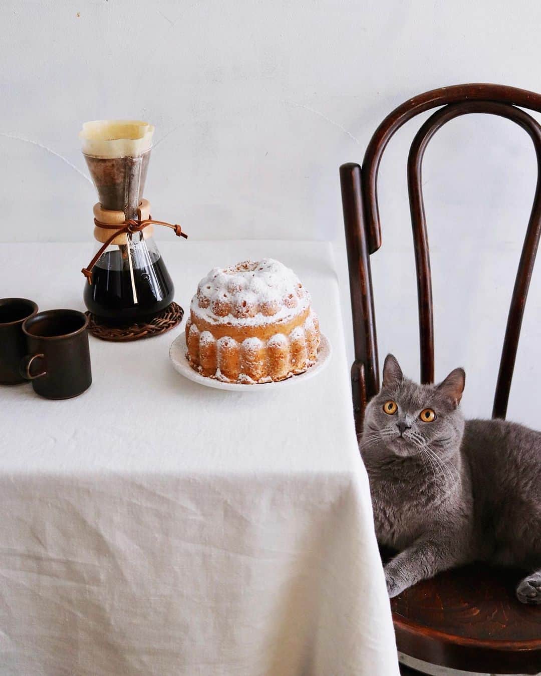 樋口正樹さんのインスタグラム写真 - (樋口正樹Instagram)「biscuit de savoie . 今日もまだ暑いですが、 久々にオーブン使って ケーキ焼きましたけど、 膨らみもあと一歩だし 上も少し崩れてしまう。 そんなときは粉砂糖を たっぷりふってリカバ。 ＆ホットコーヒーと猫。 . . #ビスキュイドサヴォワ #フランス菓子 #バビブベボナさん #手作りケーキ #おやつとボナさん #サックリ #フワフワ #お菓子作り #秋冬の準備 #biscuitdesavoie #gateaudesavoie #homemadecake #thebakefeed」9月8日 14時20分 - higuccini