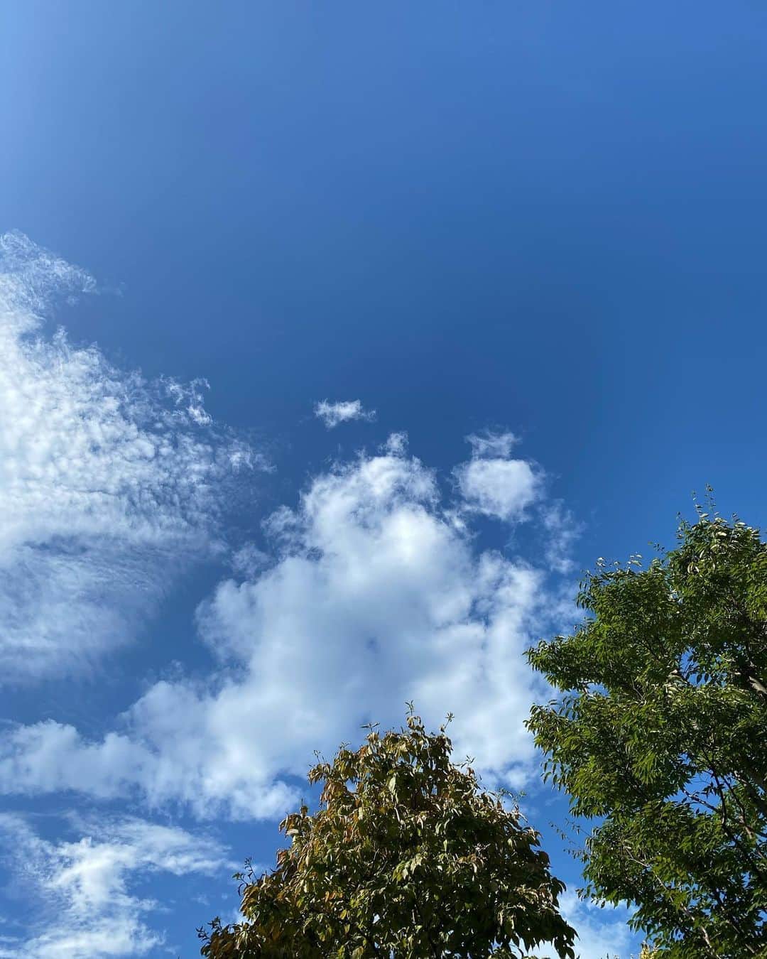 渡辺真起子さんのインスタグラム写真 - (渡辺真起子Instagram)「残夏。  空がだんだん高くなる。  青い空。  どんどん先に進め。  走れ、絶望が追いつかない速度で。  は、中川龍太郎作品。  いいタイトルだったな。  笑笑」9月8日 15時38分 - watanabe_makiko