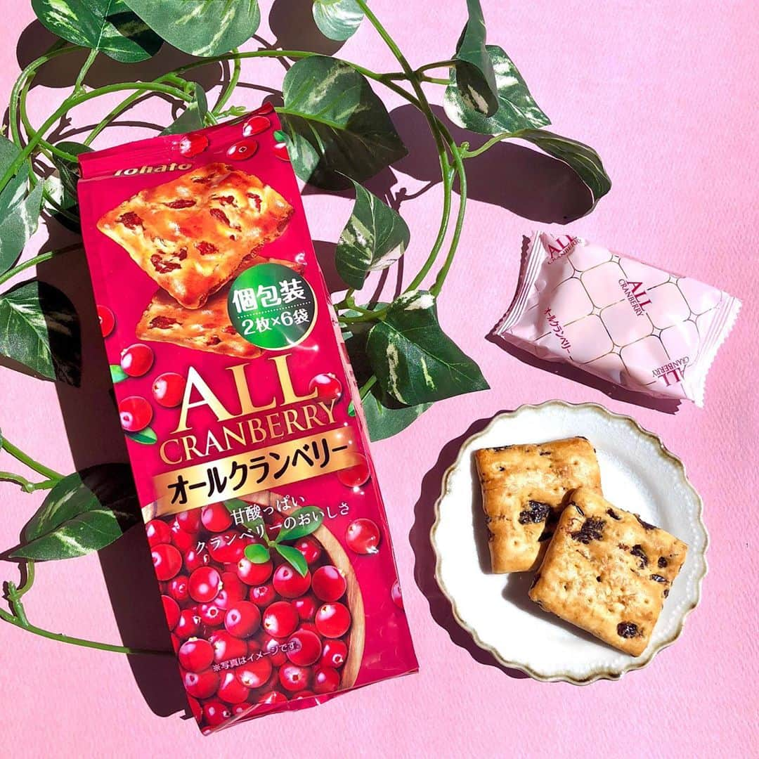 東ハト　キャンペーンさんのインスタグラム写真 - (東ハト　キャンペーンInstagram)「. 甘酸っぱいクランベリーのおいしさ🍇 . 9月14日より全国にて「オールクランベリー」を新発売❣️東ハトの人気焼き菓子「オールレーズン」のシリーズ商品です！ . 生地と生地の間にクランベリーをたっぷりはさみ込み、ギュッと薄くし焼きあげました🙌🏻 クランベリーの爽やかな香りと甘酸っぱい味わいが楽しめるしっとり食感のクッキーです🍪✨🍃 .  ～おいしさのヒミツ～ オールシリーズは素材をたっぷりはさみ込んだ厚さ約10cmの生地を、独自の技術で圧縮して2～3㎜にまで薄く延ばすことで、しっとり独特の食感に焼きあげています！焼き上がりは約1cmです🌟 . おやつはもちろん、ヨーグルトとあわせて朝食にいかがでしょうか？🍨🥄 . 9月14日全国発売 . #東ハト#tohato#オールクランベリー#オールレーズン#シリーズ商品#オールシリーズ#allcranberry#cranberry#甘酸っぱい#クランベリー#新発売#新製品#お菓子#甘党部#お菓子好きな人と繋がりたい#クッキー#おうちおかし#おうちじかん#個包装#おやつタイム#おやつ#朝ごはん#breakfast#朝食#お手軽朝食#時短朝食#ヨーグルト#sweets」9月8日 16時31分 - tohato_caramelcorn