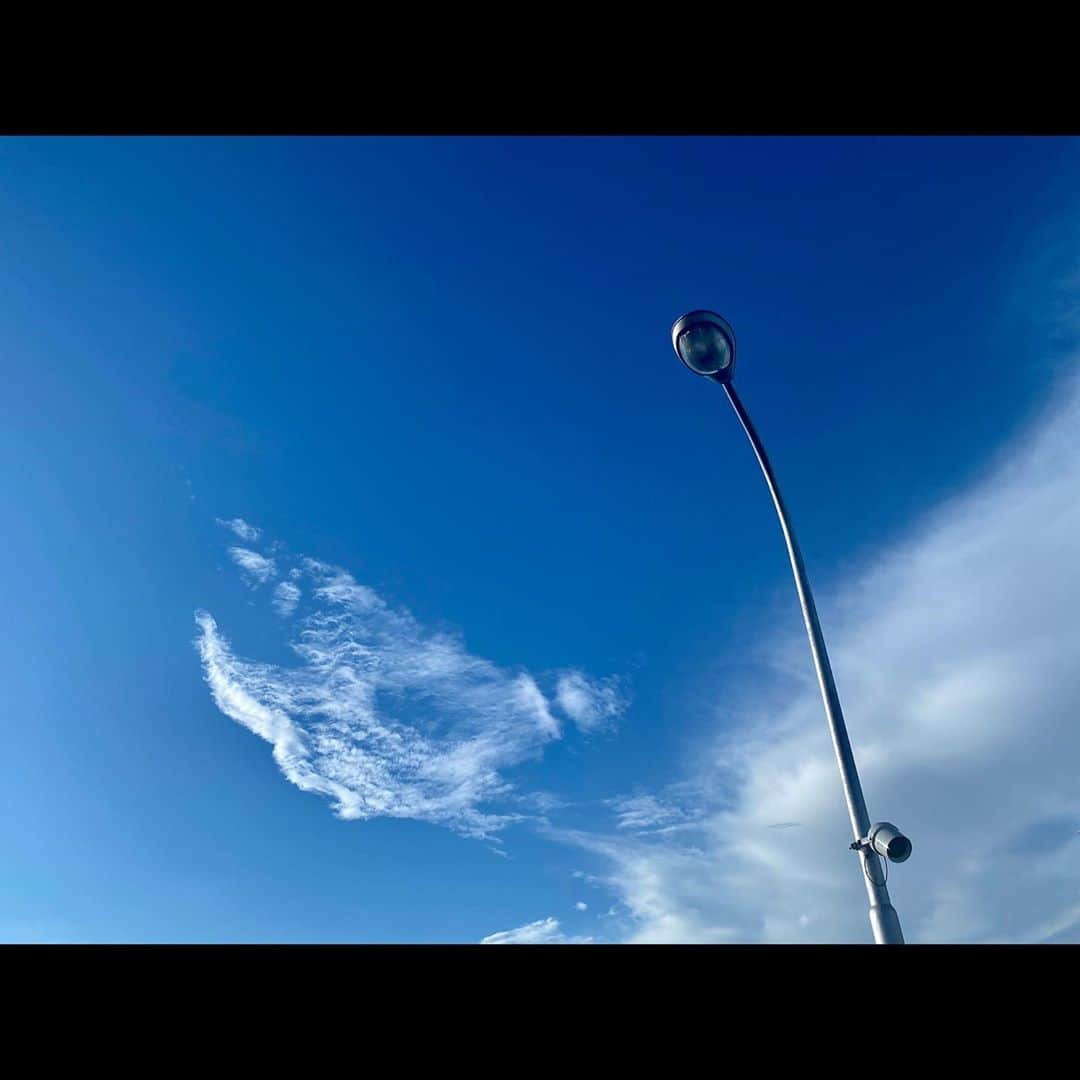 池添俊亮さんのインスタグラム写真 - (池添俊亮Instagram)「夏の終わり  #天使の羽みたいな雲」9月8日 16時44分 - zoe_boy_0427