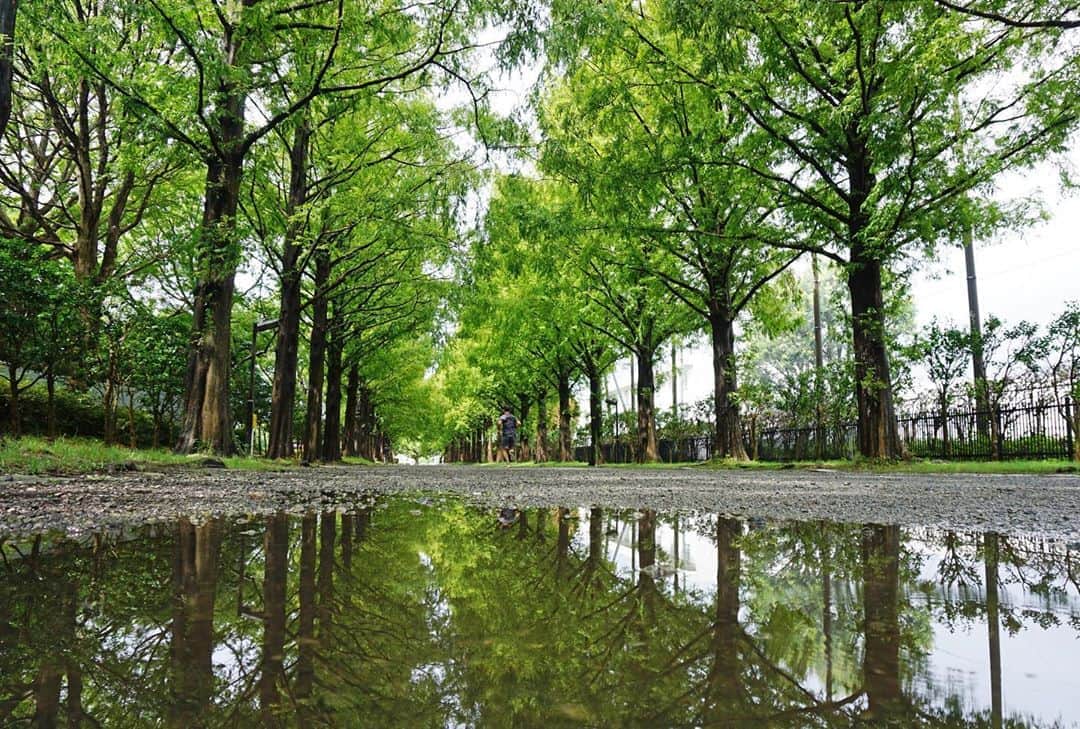 平塚市のグルメインスタ