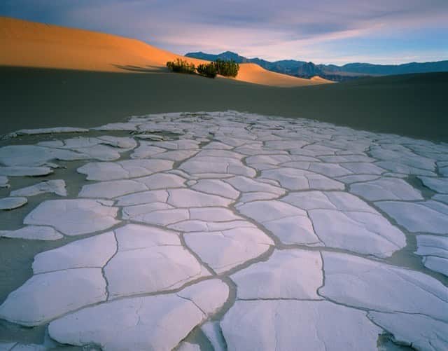 のインスタグラム：「カリフォルニア州とネバダ州の境界にあるDeath Valley(死の谷)という名前の国立公園🏞があります。 海抜はなんと👀マイナス86m❗️🇺🇸で最も標高が低く暑くなる場所で、過酷な自然環境のため動植物はほとんど生息していません。 白いのは塩の結晶❄️ . #usa #america #studyabroad #livinginamerica #california #nevada #nationalpark #desert #photooftheday #アメリカ #アメリカ生活 #留学 #国立公園 #死の谷 #塩の結晶 #絶景 #砂漠 #大自然 #灼熱 #海抜マイナス #過酷な自然環境  #カリフォルニア州 #ネバダ州 #盆地 #荒野」