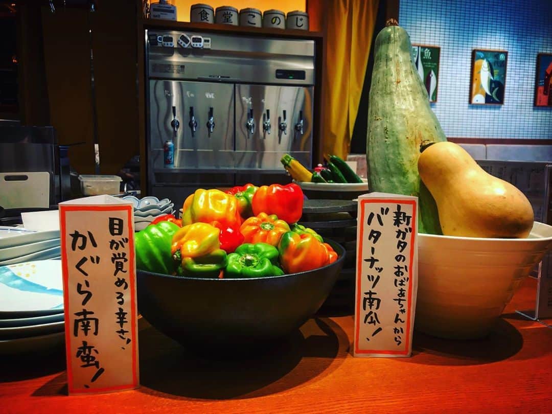のインスタグラム：「火曜でも、飲んだっていいじゃないか🥦  〜魚金には新潟のおじいちゃん、おばあちゃんが作った美味しいお野菜が入荷しています〜  #魚金 #uokin #新潟 #復興支援 #野菜たっぷり #おいしい #おじいちゃん #おばあちゃん #ありがとう」
