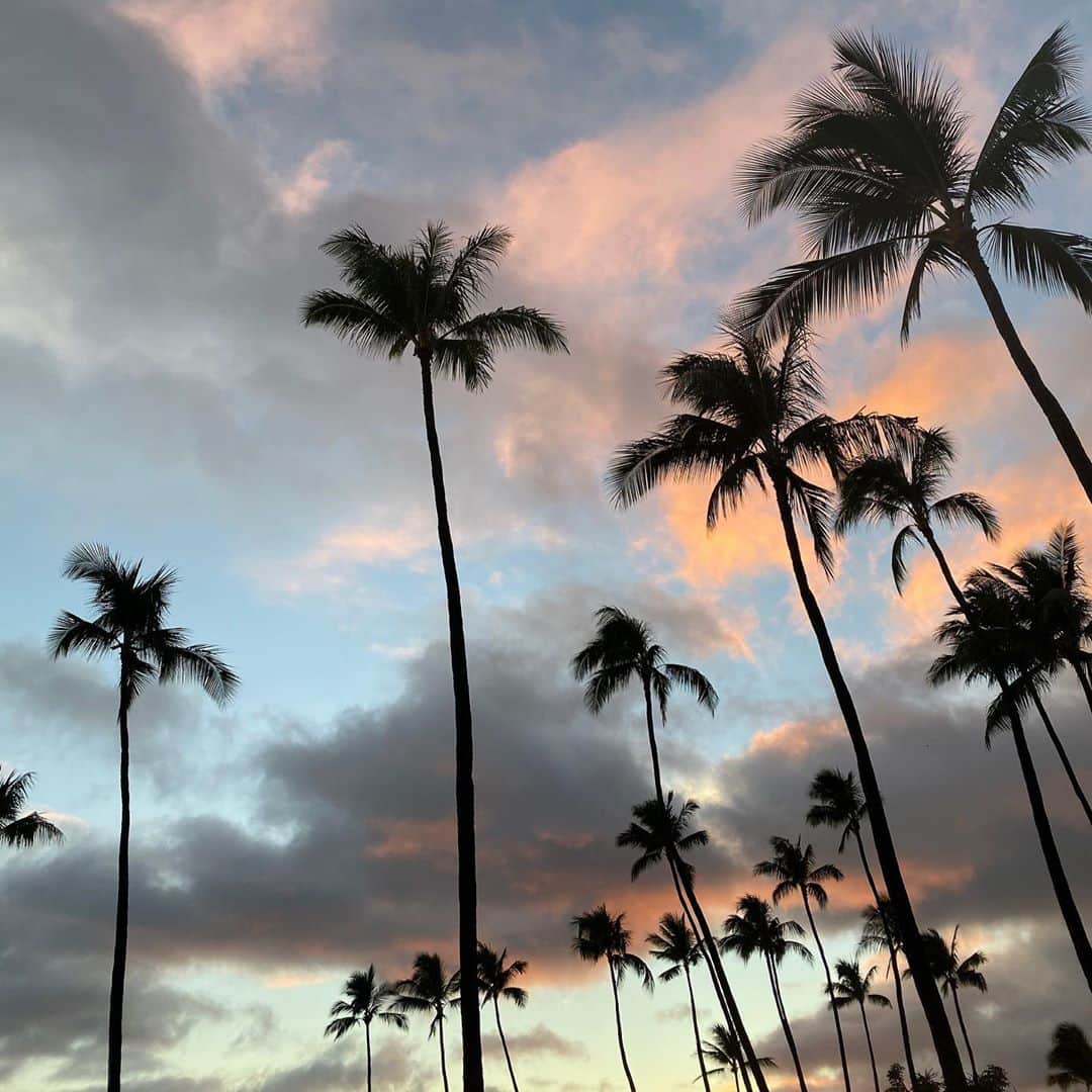 エビアン・クーのインスタグラム：「Fall is here, happy Labor Day  今日のお空オレンジに染まってた！ 今日はいい散歩できたよ🚶‍♀️  今日のコーデもシェアするね. ＊タグしてるからみて〜 つなぎはママの88teesのものだよ。」