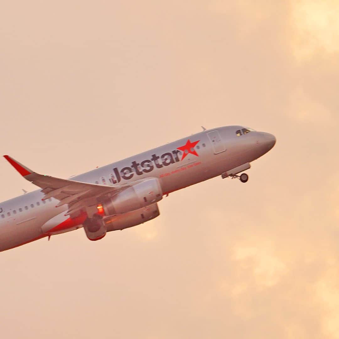 ジェットスター航空のインスタグラム